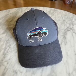 PATAGONIA Fitz Roy Bison Trucker Hat Cap Blue 6-Panel Adjustable Organic Cotton patagonia-fitz-roy-bison-  main image 2